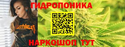 гидра Гагарин