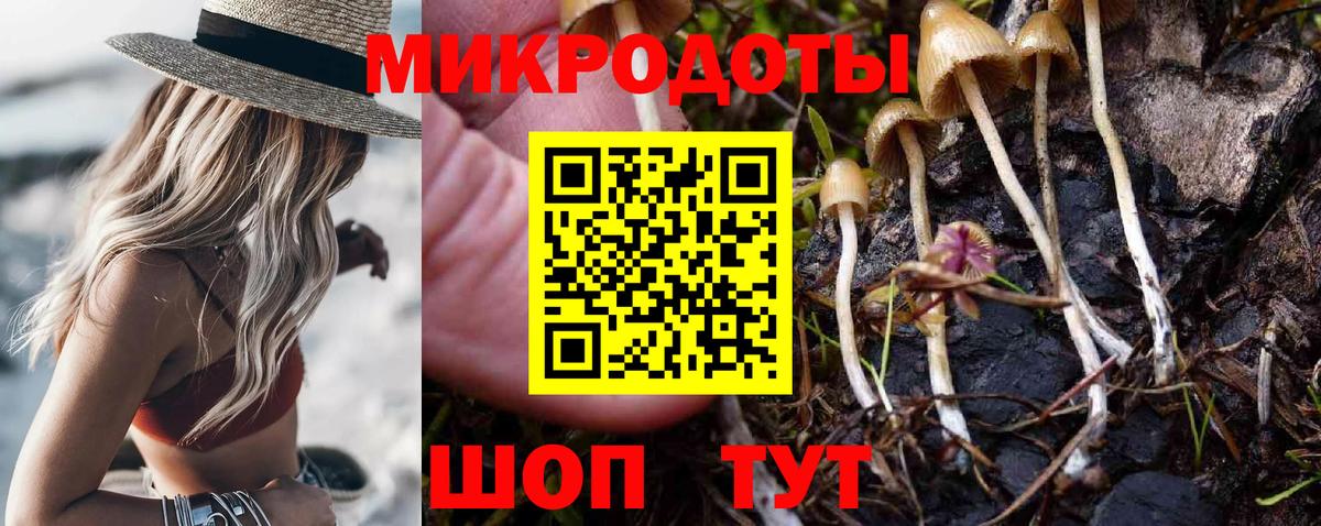 Псилоцибиновые грибы ЛСД Алексин