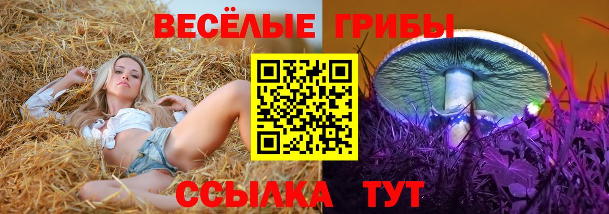МАРИХУАНА  СОЛЬ CK  КОКАИН  Ешки  МДМА  Алексин  Мяу-Мяу  Гарик  Вход с VPN 