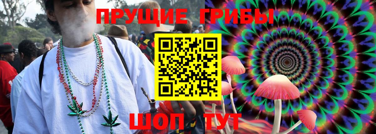 Псилоцибиновые грибы GOLDEN TEACHER  Галлюциногенные грибы Psilocybine cubensis  Алексин 