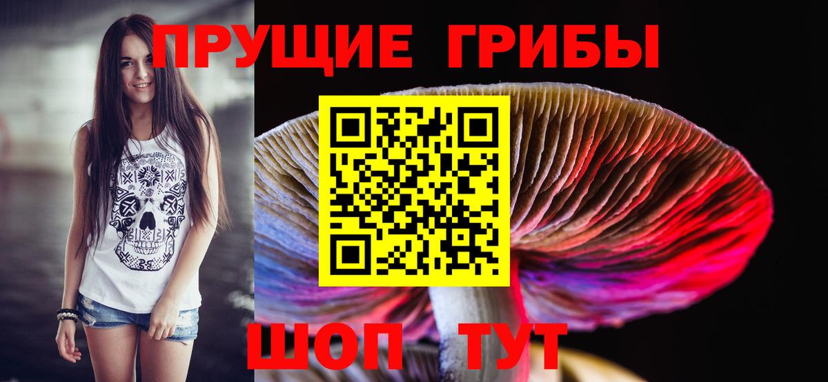 Псилоцибиновые грибы прущие грибы  Вход с VPN  закладки  Алексин 